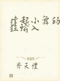 撑起小舞的腿疯狂输入