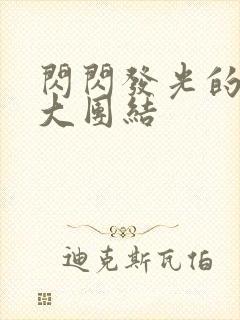 闪闪发光的小说大团结