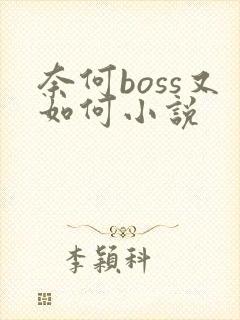 奈何boss又如何小说