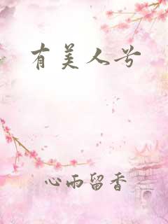 有美人兮