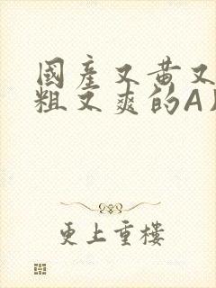 国产又黄又猛又粗又爽的A片小说