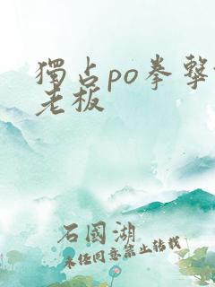 独占po拳击馆老板