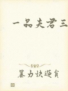 一品夫君三流妻