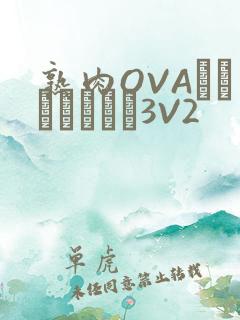 熟肉OVAちゃんはしたい3V2