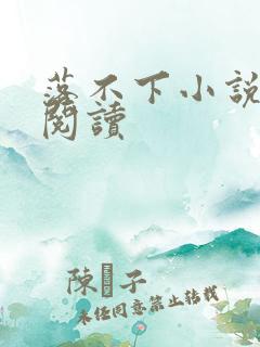 落不下小说全文阅读
