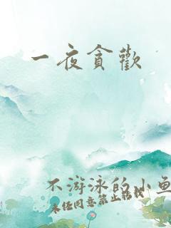 一夜贪欢