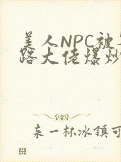 美人NPC被各路大佬爆炒小说