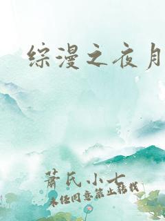 综漫之夜月