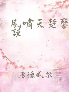 风啸天楚馨月小说