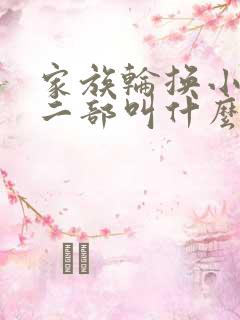 家族轮换小说第二部叫什么名字