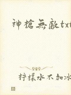神枪无敌txt