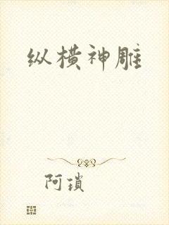 纵横神雕