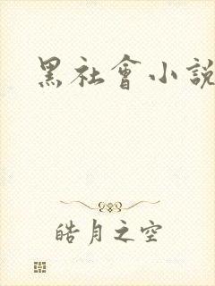 黑社会小说下载