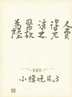 为医消得人憔悴陆故之免费阅读