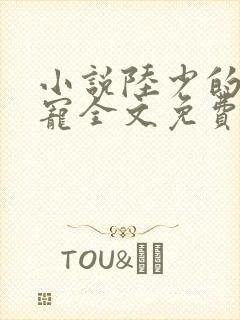 小说陆少的心尖宠全文免费阅读