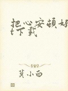 把心安顿好txt下载