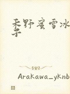 禾野蜜雪冰城本子