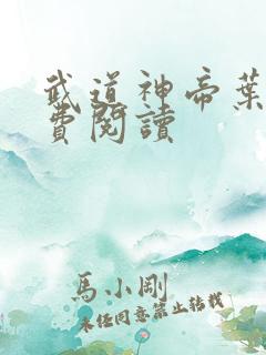 武道神帝叶辰免费阅读