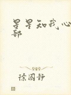 星星知我心第二部