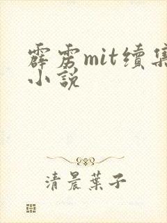 霹雳mit续集小说