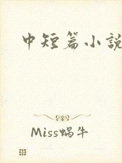 中短篇小说集