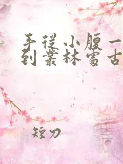 手从小腹一路开到丛林处古代