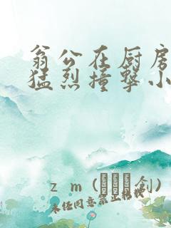 翁公在厨房和我猛烈撞击小说