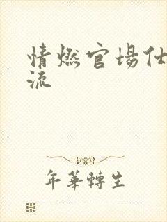 情燃官场仕途风流