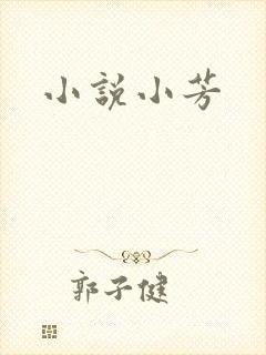 小说小芳