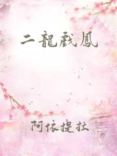 二龙戏凤