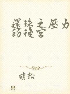 还珠之压力山大的后宫