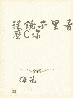 从镜子里看我怎么C你