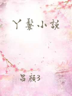 丫鬟小说