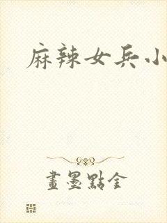 麻辣女兵小说版