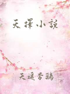 天择小说