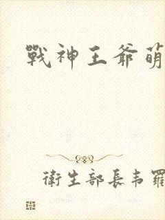 战神王爷萌虎妃