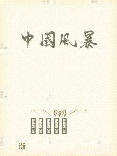 中国风暴