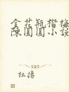 金花瓶楷梅花2陈圆圆小说