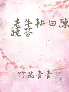 老牛耕田陈雪杨晓芬