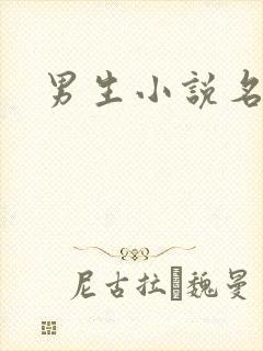 男生小说名字