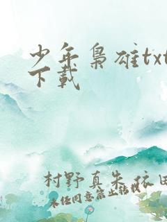 少年枭雄txt下载