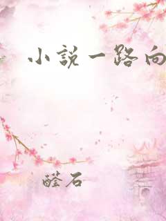 小说一路向西