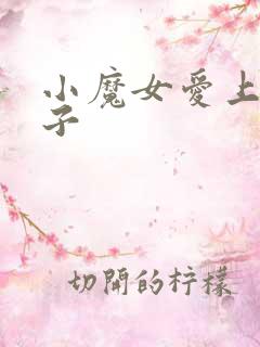 小魔女爱上皇太子