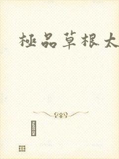 极品草根太子