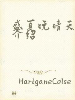 盛夏晚晴天剧情介绍