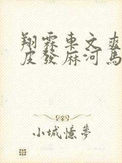 翔霖车文爽到头皮发麻河马的秘密