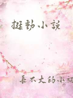 挺动小说