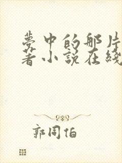 梦中的那片海原著小说在线阅读