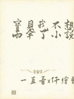 宝贝我不想带小雨伞了小说