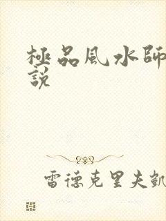 极品风水师 小说